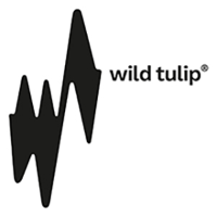 Wild Tulip